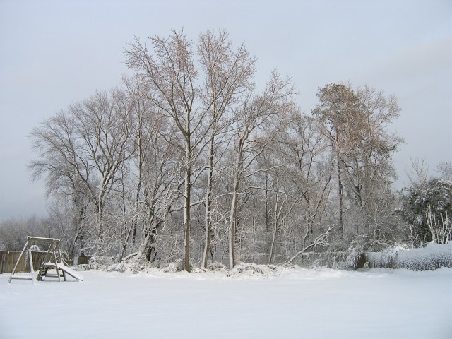 yard_snow.jpg