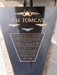 Tomcat plaque
