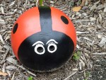 bowling ball lady bug